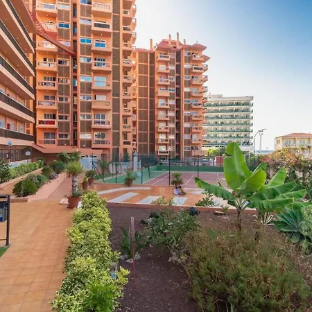 Avc Valle Luz *